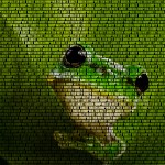 Frosch als Text-Bild.